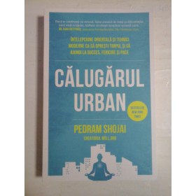 CALUGARUL  URBAN  -  PEDRAM  SHOJAI 